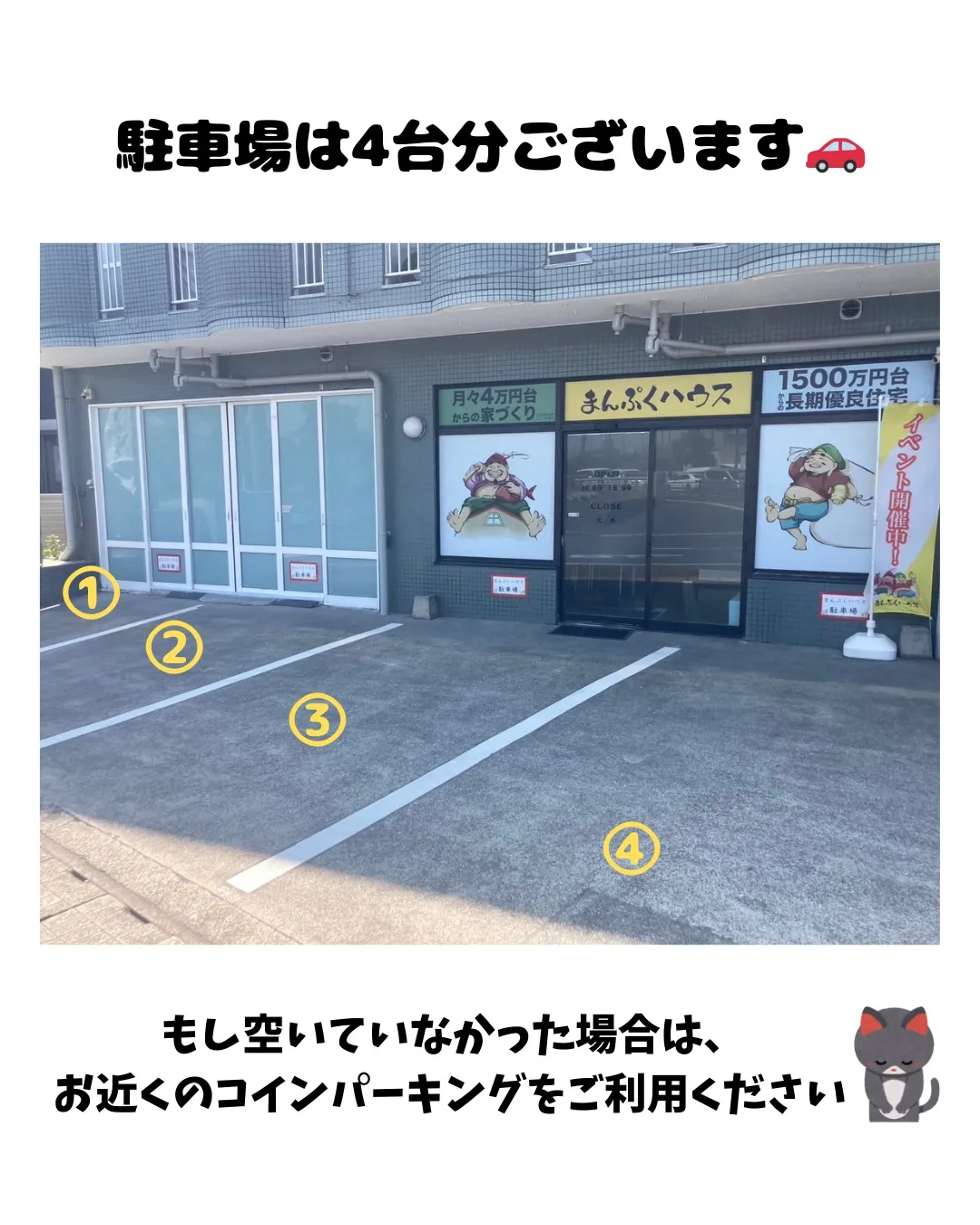 🐱 猫の譲渡会のお知らせ 🐱