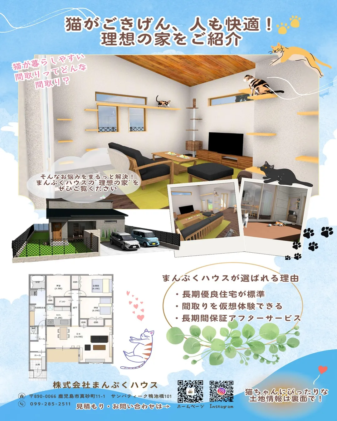 🐱 猫の譲渡会のお知らせ 🐱