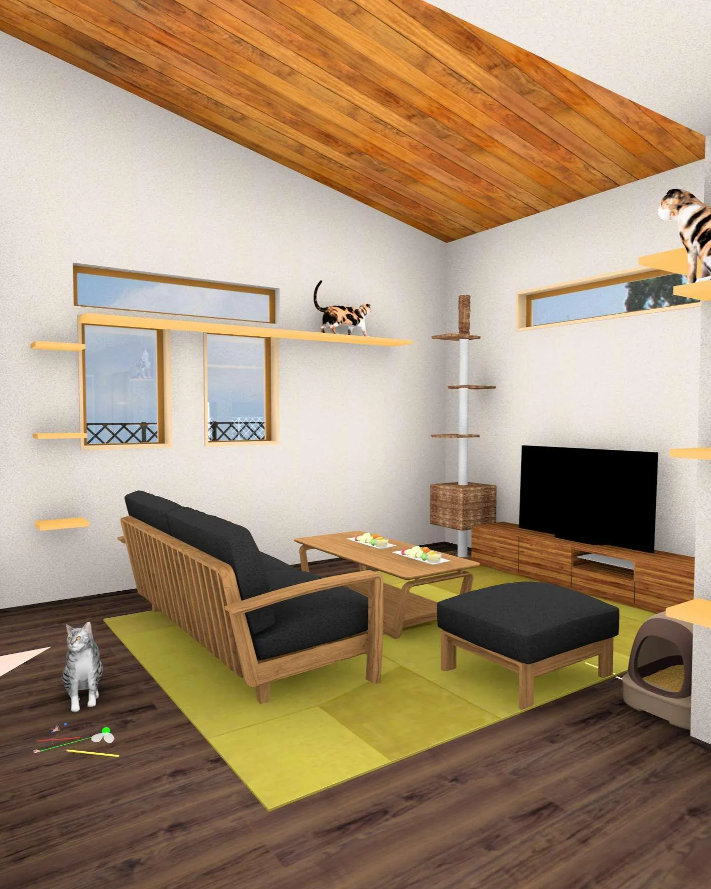 🐱 猫の譲渡会のお知らせ 🐱