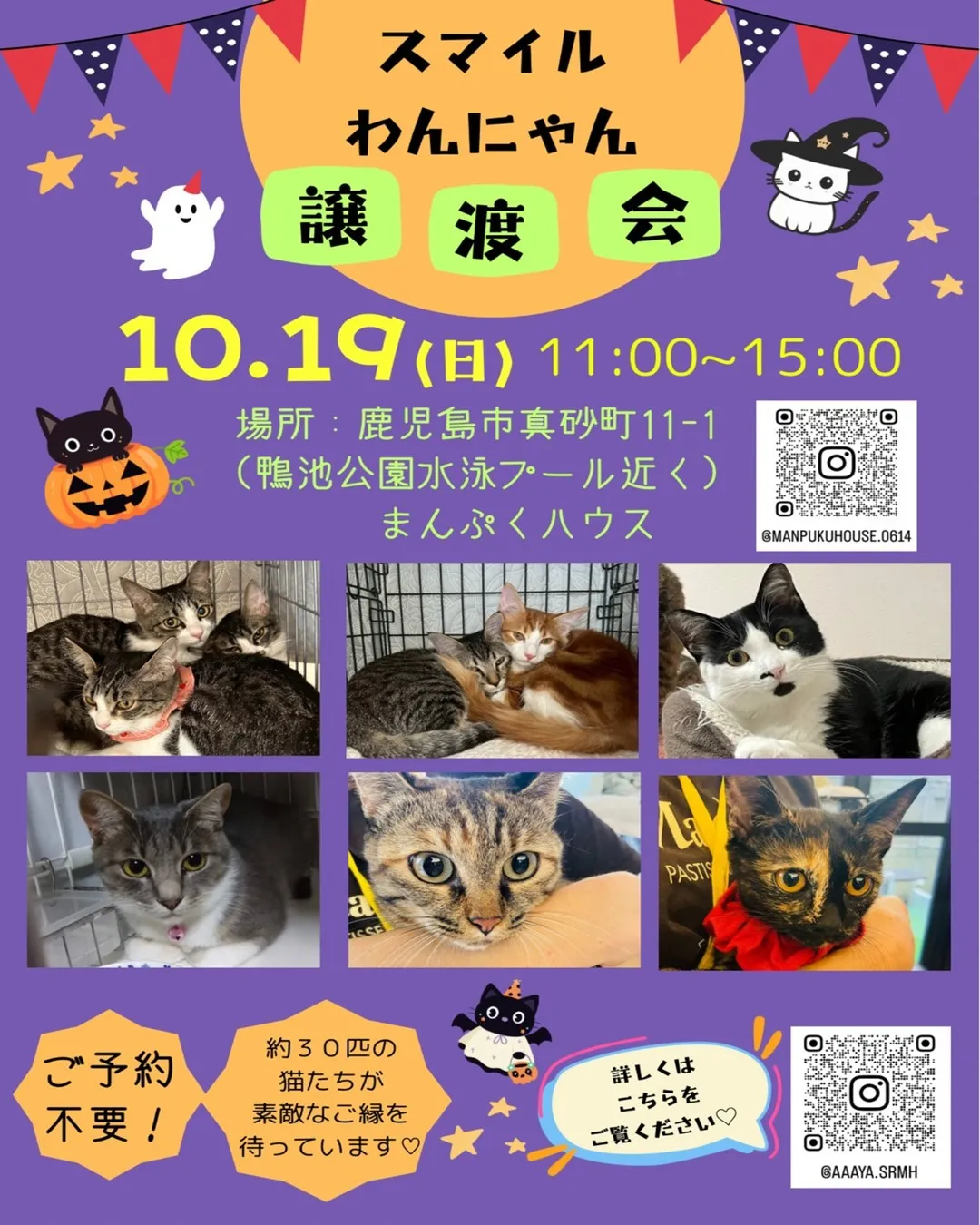 📢🐾 スマイルわんにゃん譲渡会のお知らせ 🐾📢
