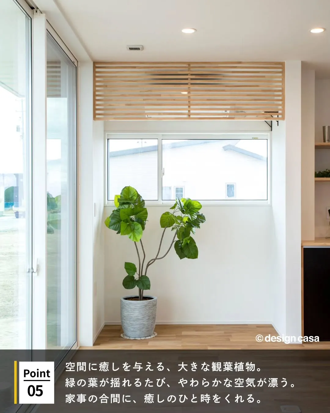◾️自然のやさしさを、住まいにグリーンのある家